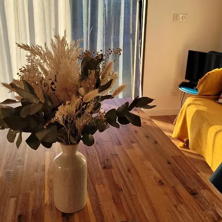 The Garden Of Libourne